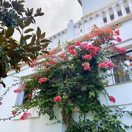 Villa Chantilly Marbella Exterior photo